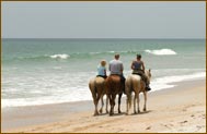 Quintana Roo, Mexico Horseback Riding