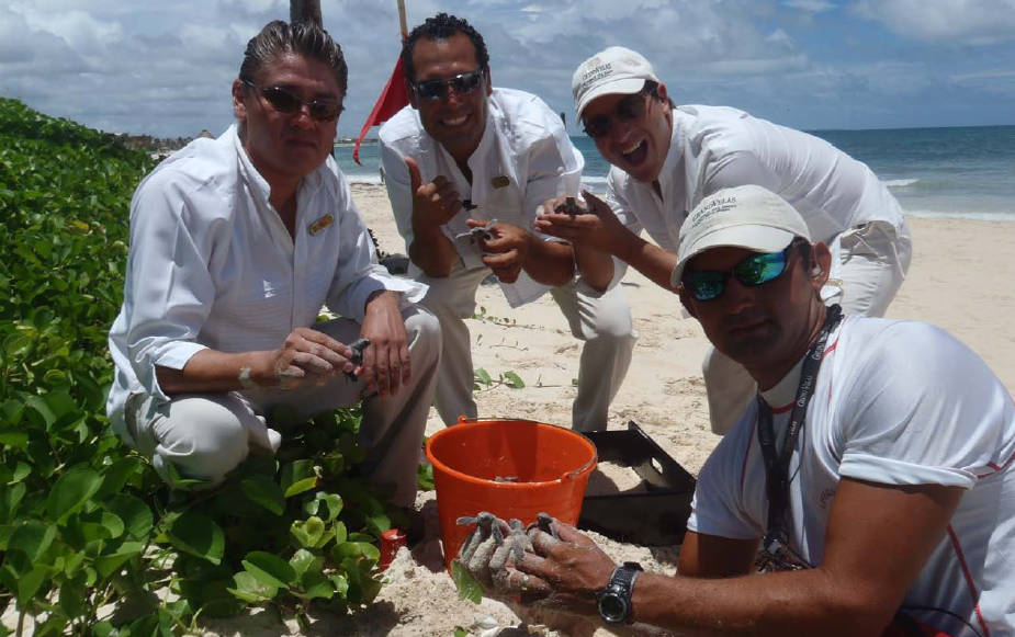 Tortugas Marinas Liberacion