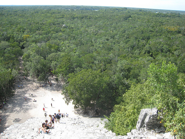 jungla maya, Coba- Riviera Maya Travel Blog