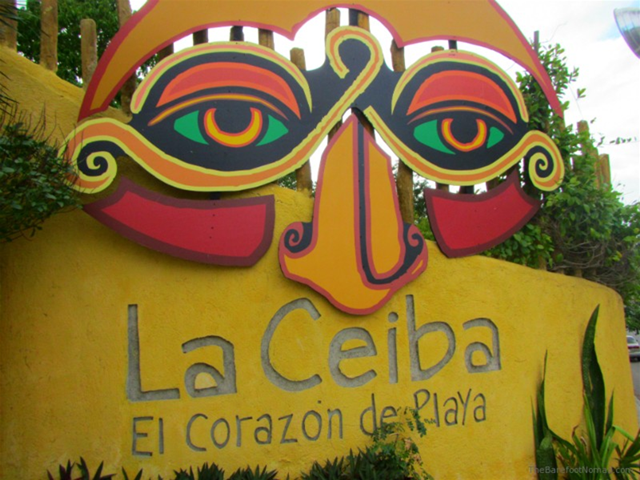 La Ceiba- Riviera Maya Travel Blog