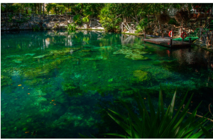 Sacred Cenote