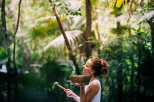 tulum vegan fest