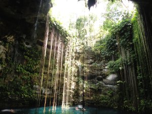 Swim in Cenotes, Riviera Maya