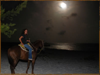 moonlight horseback riding
