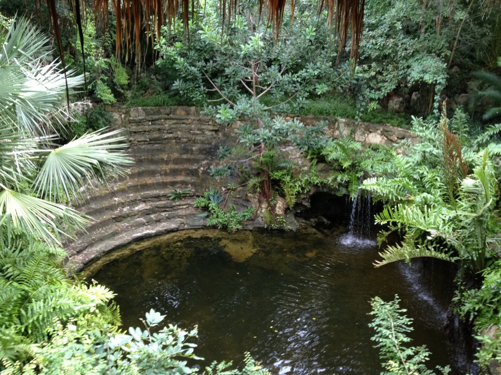 Zen Grand Cenote