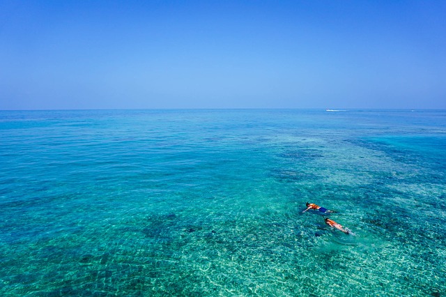 Two people snorkeling in crystal clear waters