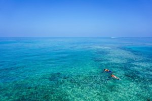Snorkel en Riviera Maya