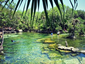 cenote azul en riviera maya