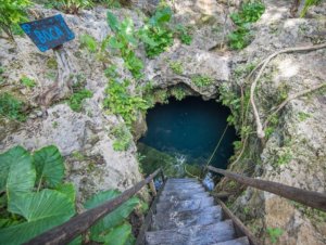 cenote siente boca en Riviera Maya