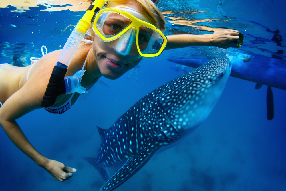 types of vacations for women in riviera maya swim with sharks