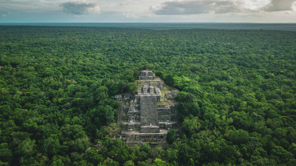 vista aérea de una pirámide en la selva maya